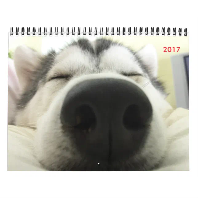 Siberian Husky Calendar | Zazzle