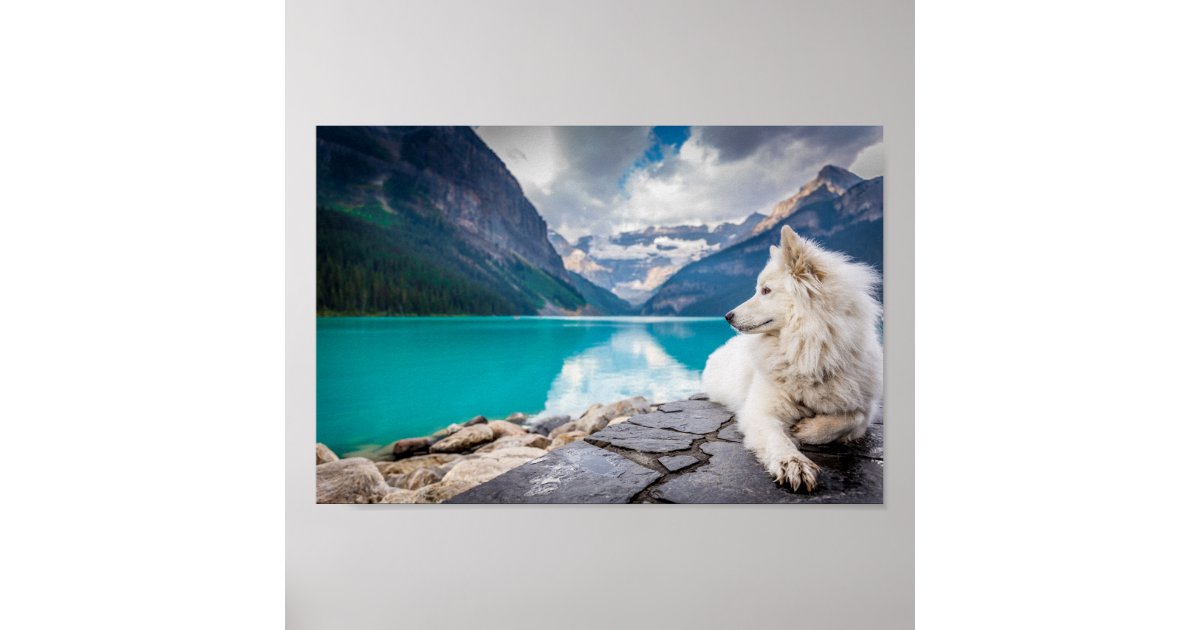 Siberian Husky Canada Beautiful Mountains Poster | Zazzle