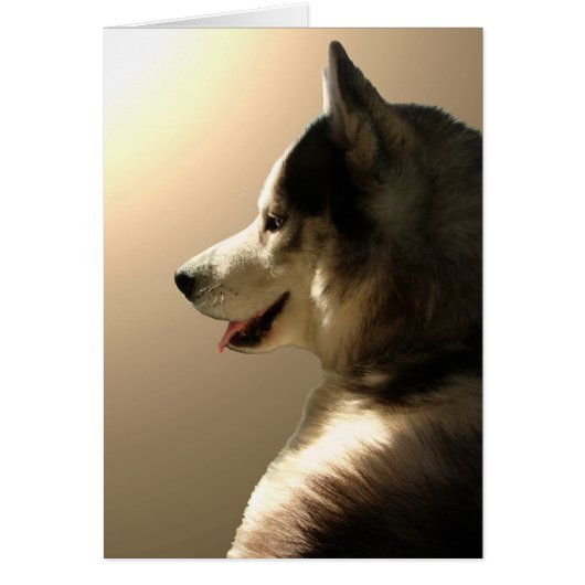 Siberian Husky Card / Alaskan Malamute Card (Front)
