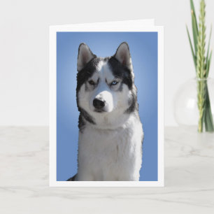 Siberian Husky Card / Alaskan Malamute Card Blank