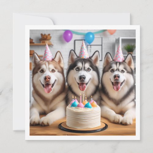Siberian Husky card Husky card dog birthday  Invitation