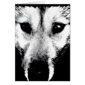 Siberian Husky Card Malamute Wolf Dog Card (Front)
