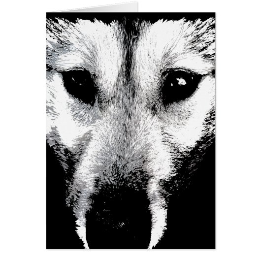 Siberian Husky Card Malamute Wolf Dog Card (Front)