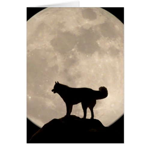 Siberian Husky Card Malamute Wolf Dog Card