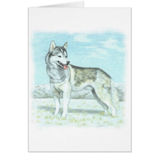 Siberian Husky Cards
