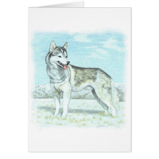 Siberian Husky Cards (Front)