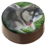 Siberian Husky Chocolate Dipped Oreo