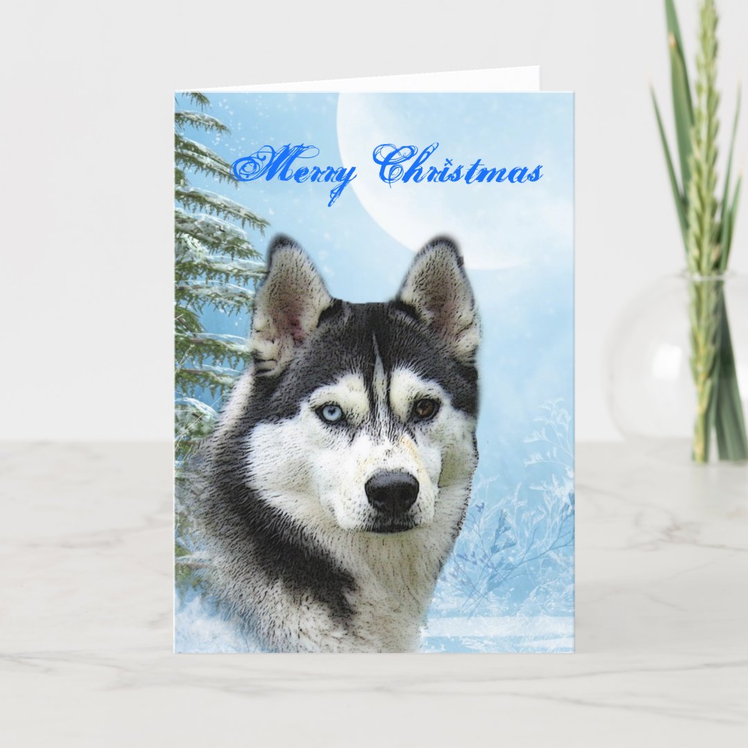 Husky Christmas Card 