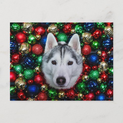 Siberian Husky Christmas Ornament Card