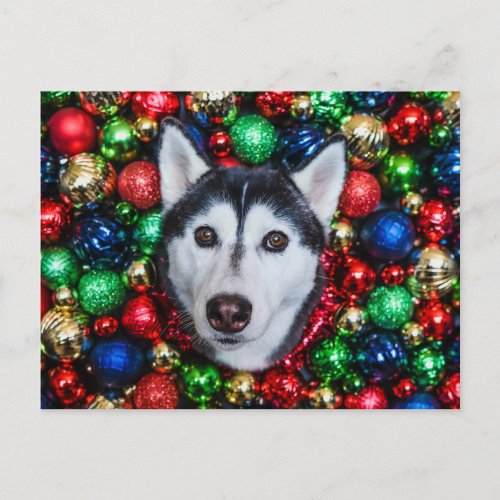 Siberian Husky Christmas Ornament Card
