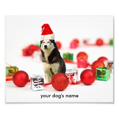 Siberian Husky Christmas Ornament photo print