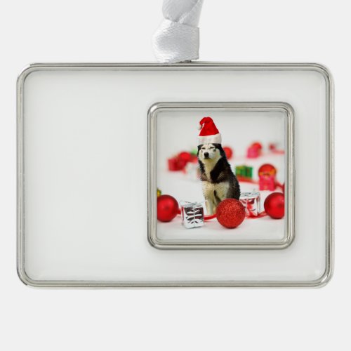 Siberian Husky Christmas snow flake Ornament