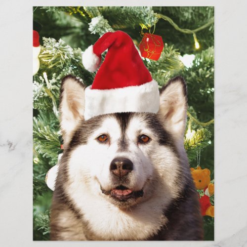 Siberian Husky Christmas Tree Ornaments Snowman