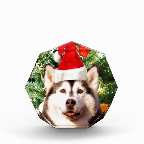 Siberian Husky Christmas Tree Ornaments Snowman Acrylic Award