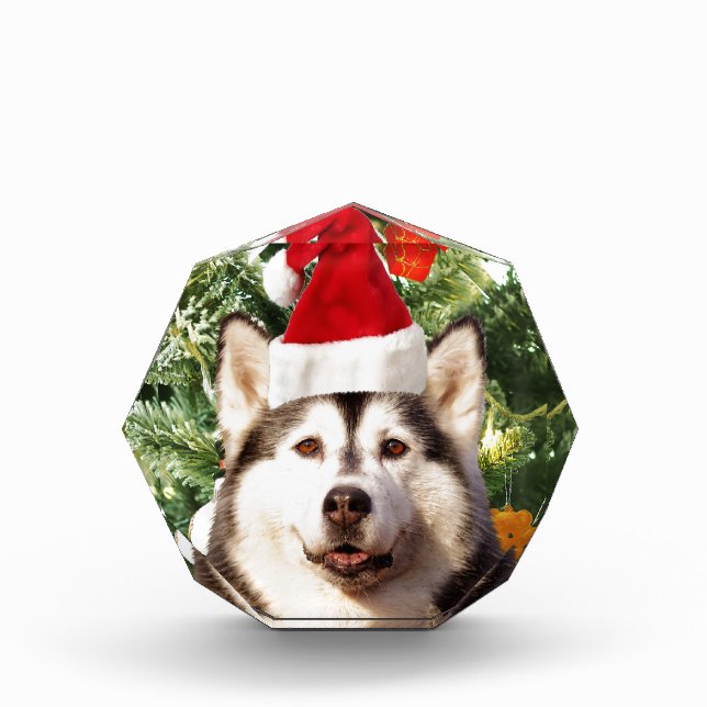 Siberian Husky Christmas Tree Ornaments Snowman Acrylic Award (Front)