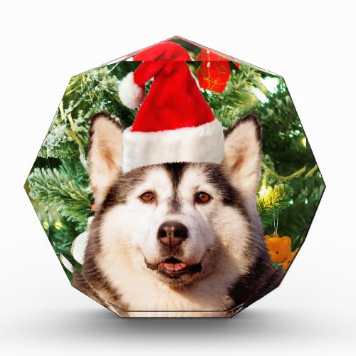 Siberian Husky Christmas Tree Ornaments Snowman Award