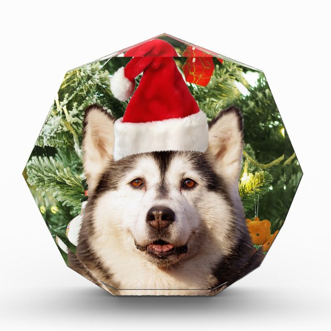 Siberian Husky Christmas Tree Ornaments Snowman Award (Front)