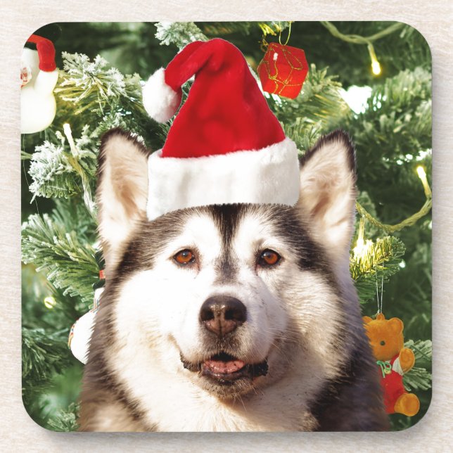 Siberian Husky Christmas Tree Ornaments Snowman Beverage Coaster (Front)