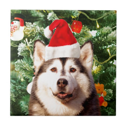 Siberian Husky Christmas Tree Ornaments Snowman Ceramic Tile