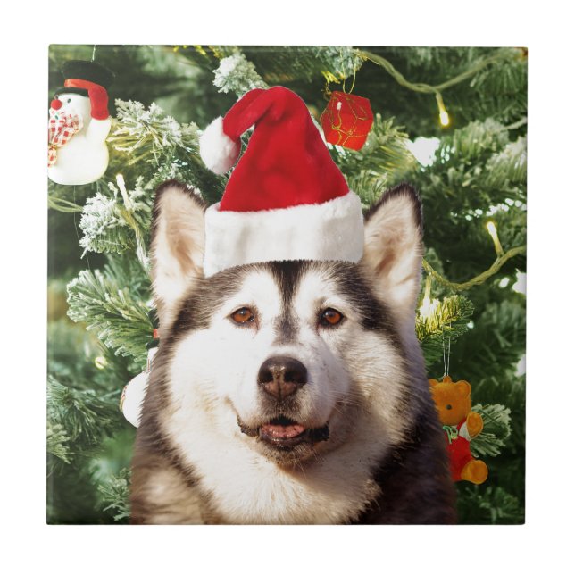 Siberian Husky Christmas Tree Ornaments Snowman Ceramic Tile (Front)