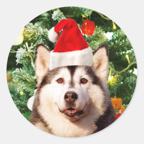 Siberian Husky Christmas Tree Ornaments Snowman Classic Round Sticker