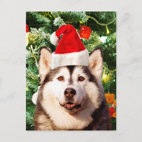 Siberian Husky Christmas Tree Ornaments Snowman Holiday Postcard