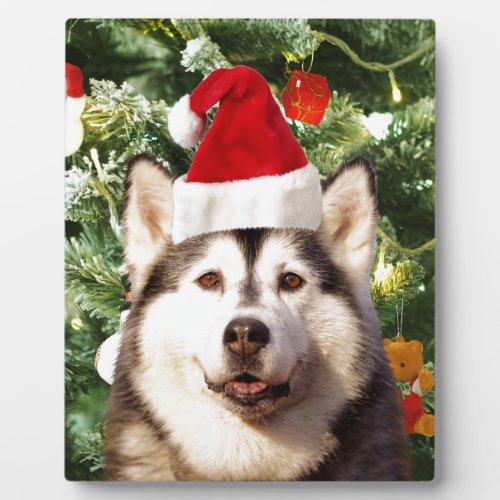 Siberian Husky Christmas Tree Ornaments Snowman Plaque