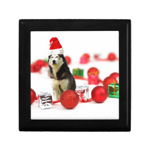 Siberian Husky Christmas with Ornament Gift Box