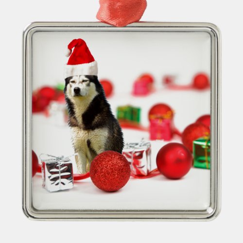 Siberian Husky Christmas with Ornament  Gift Box