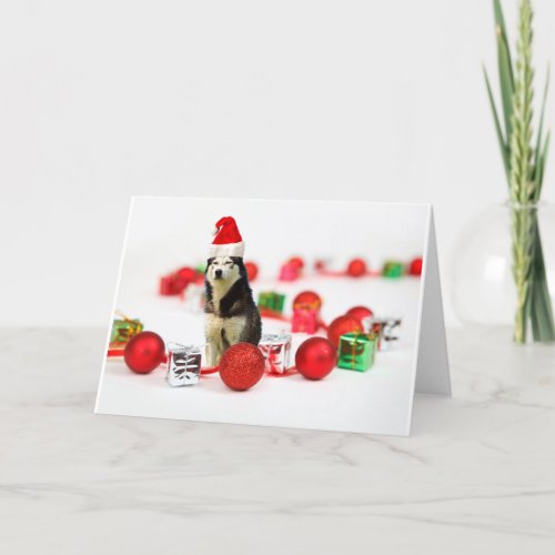 Siberian Husky Christmas with Ornament  Gift Box Holiday Card
