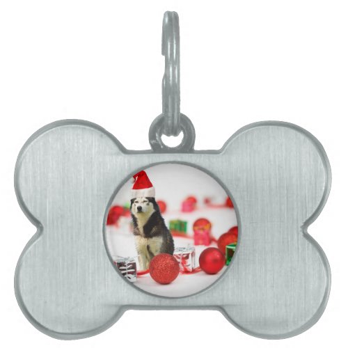 Siberian Husky Christmas with Ornament  Gift Box Pet ID Tag