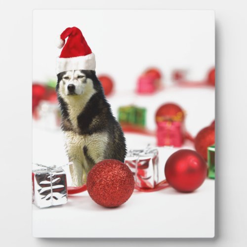 Siberian Husky Christmas with Ornament  Gift Box Plaque