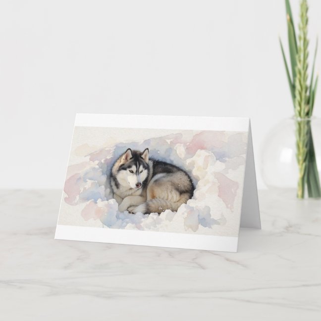 Siberian Husky Curled In The Snowdrift Hollow Gree Card