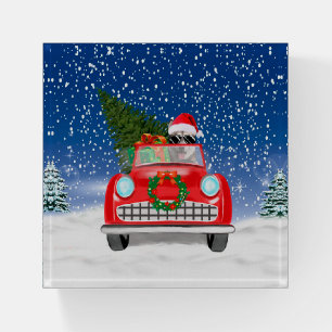 Siberian Husky Dog Driving Car In Snow Christmas  Paperweight