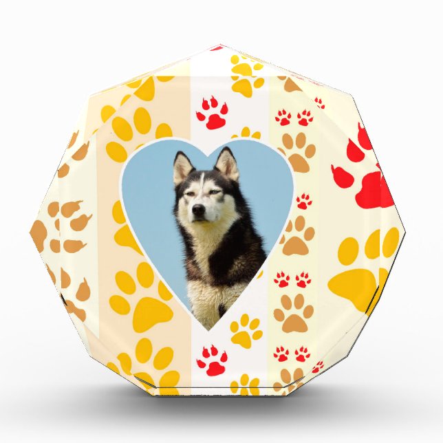 Siberian Husky Dog Heart Paws Print Award (Front)