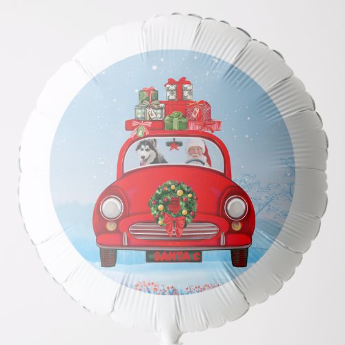 Siberian Husky Dog In Car With Santa Claus  Balloon