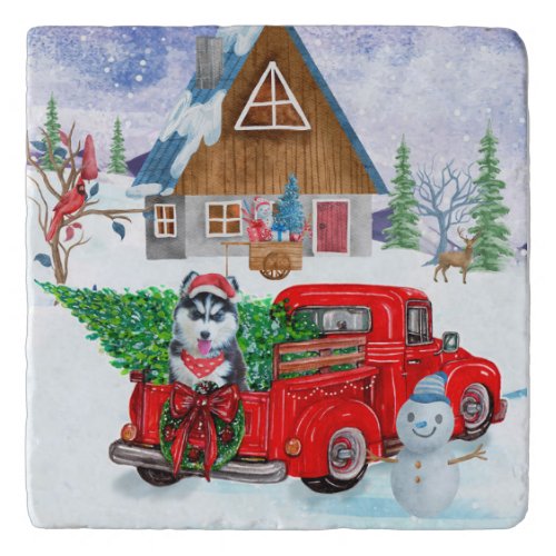 Siberian Husky Dog In Christmas Delivery Truck  Trivet