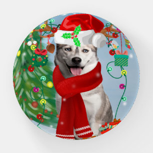 Siberian Husky Dog in Snow Christmas Paperweight