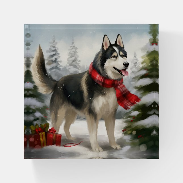 Siberian Husky Dog in Snow Christmas Paperweight (Front)
