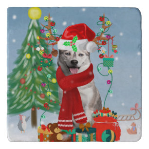 Siberian Husky Dog in Snow Christmas Trivet