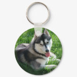 Siberian Husky Dog Keychain