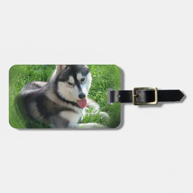 Siberian Husky Dog Luggage Tag (Front Horizontal)