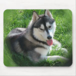 Siberian Husky Dog Mouse Pad