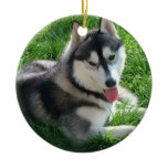 Siberian Husky Dog Ornament