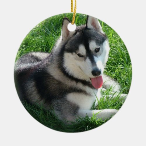 Siberian Husky Dog Ornament