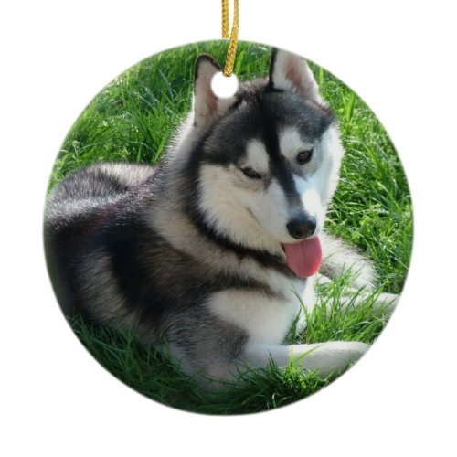 Siberian Husky Dog Ornament