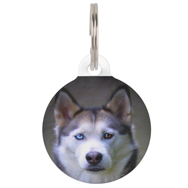Siberian Husky Dog. Pet ID Tag (Front)