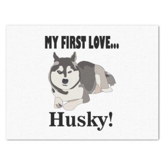 Siberian Husky Dog Pet Siberian Husky