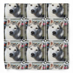 Siberian Husky Dog Photo Bandana