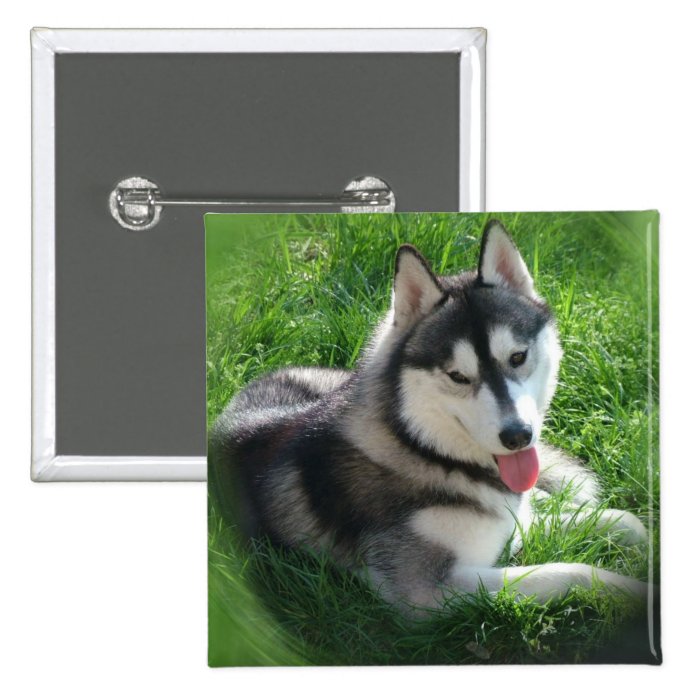 Siberian Husky Dog Square Pin